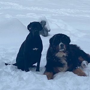 Meet your Posher, Summer